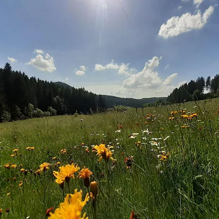 Nyaraló Kanzlersgrund *