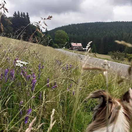 Kanzlersgrund *
